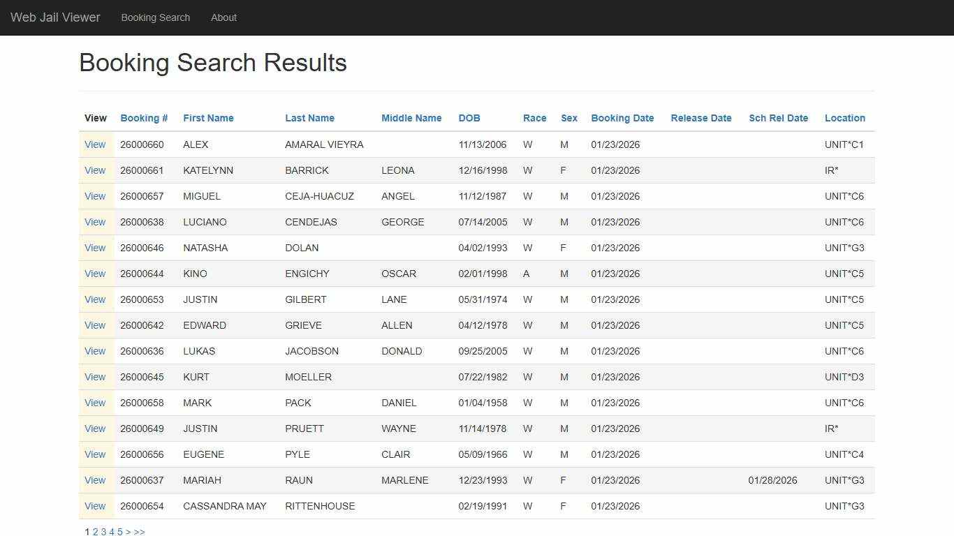 BookingSearchDetail - Web Jail Viewer